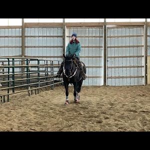 Meet your Posher, Carly